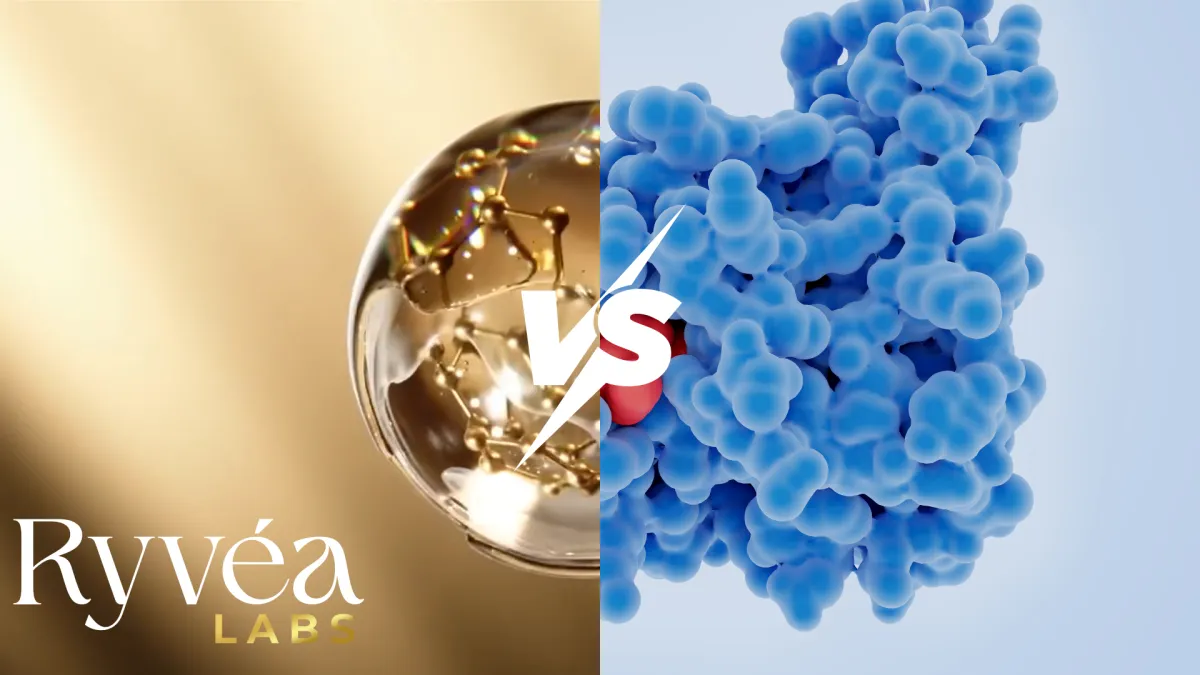 Peptides vs. Proteins: What’s the Difference and Why It Matters
