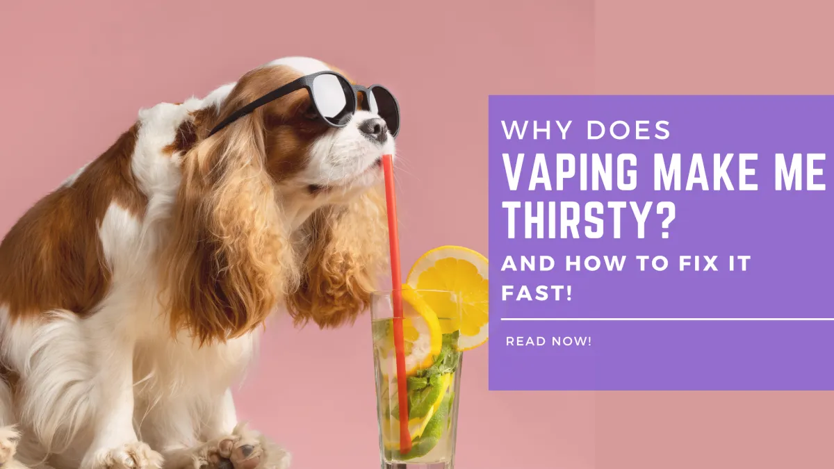 Cstyle Indonesia - WHY DOES VAPING MAKE ME THIRSTY? (AND HOW TO FIX IT FAST!)