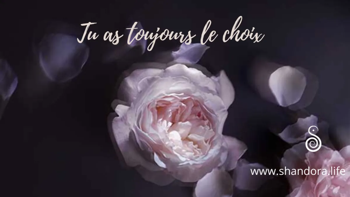 Tu as toujours le choix