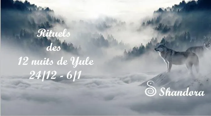 [Newsletter avant Noël]