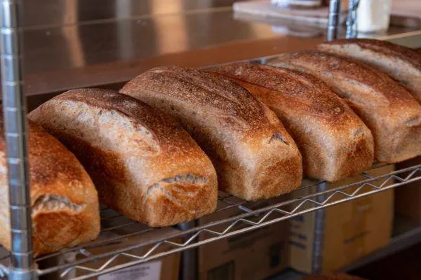 Meg’s Bread: A Cookeville Gem Worth the Drive
