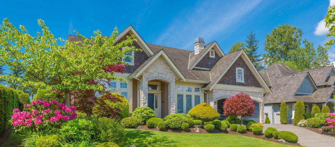colorful yard