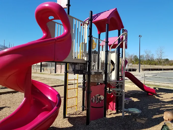 🎯 Dogs, Diamonds, and Day Trips: Why Shuffletown Park Rocks