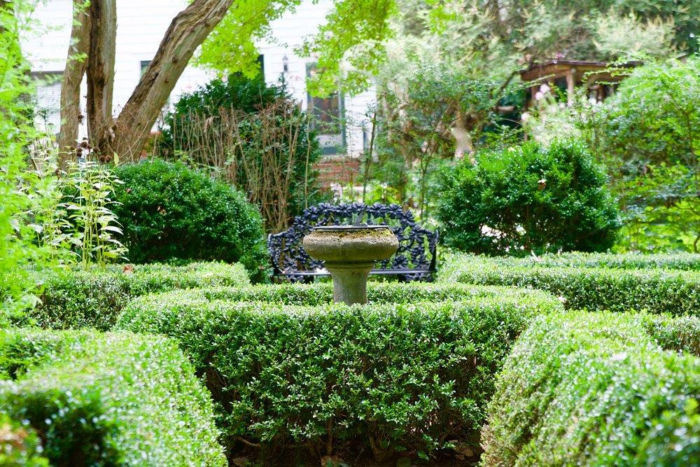 🐦 From Garden Paths to Birdbaths: Explore Wing Haven’s Wild Beauty