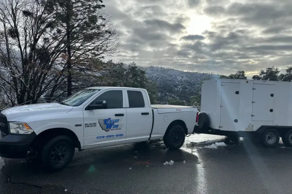 Valley Wide Pest Control