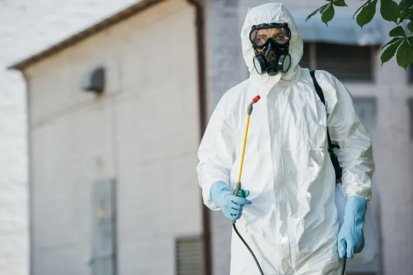 Pest control expert