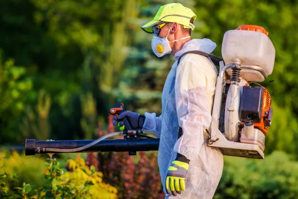 Pest expert in the garden