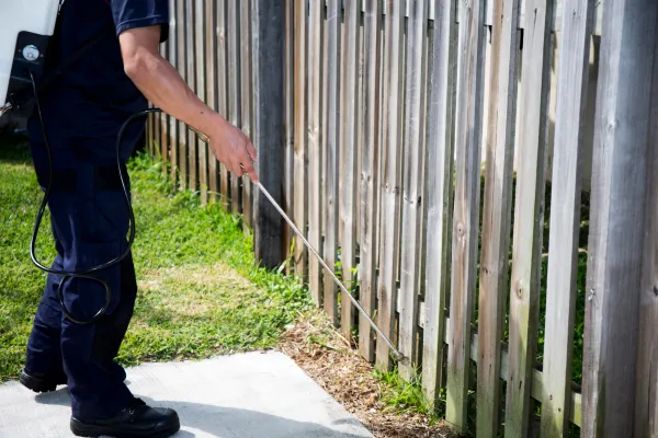 Pest expert cleaning the yard
