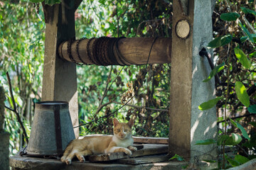 Who, What, and How Often Should I Test My Water?