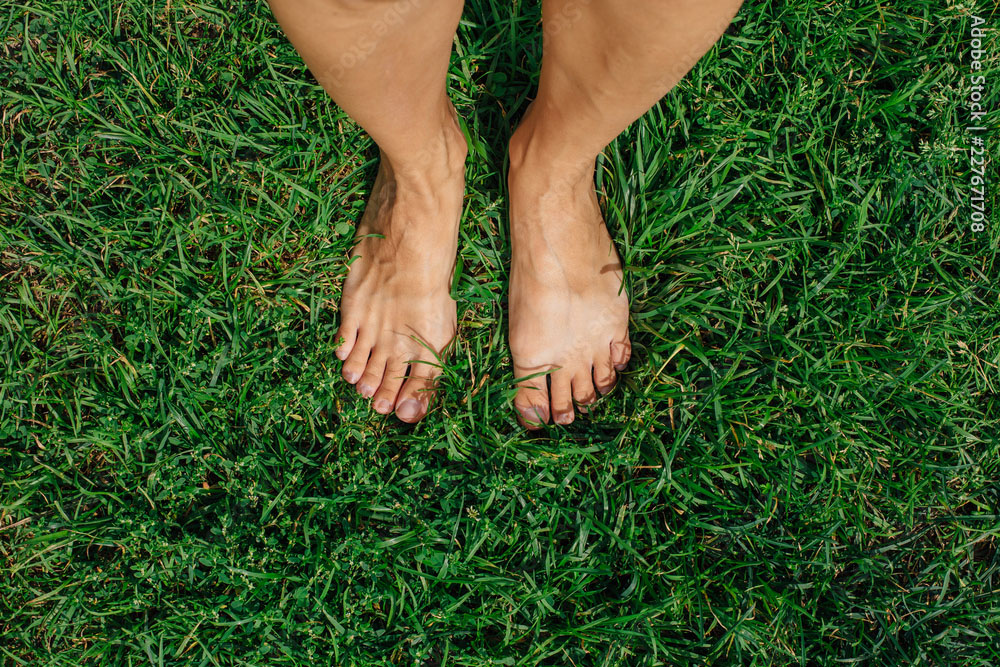 Wells: The Hidden World Beneath Your Feet