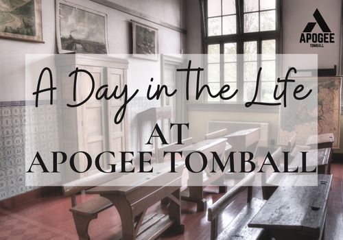A Day at Apogee Tomball