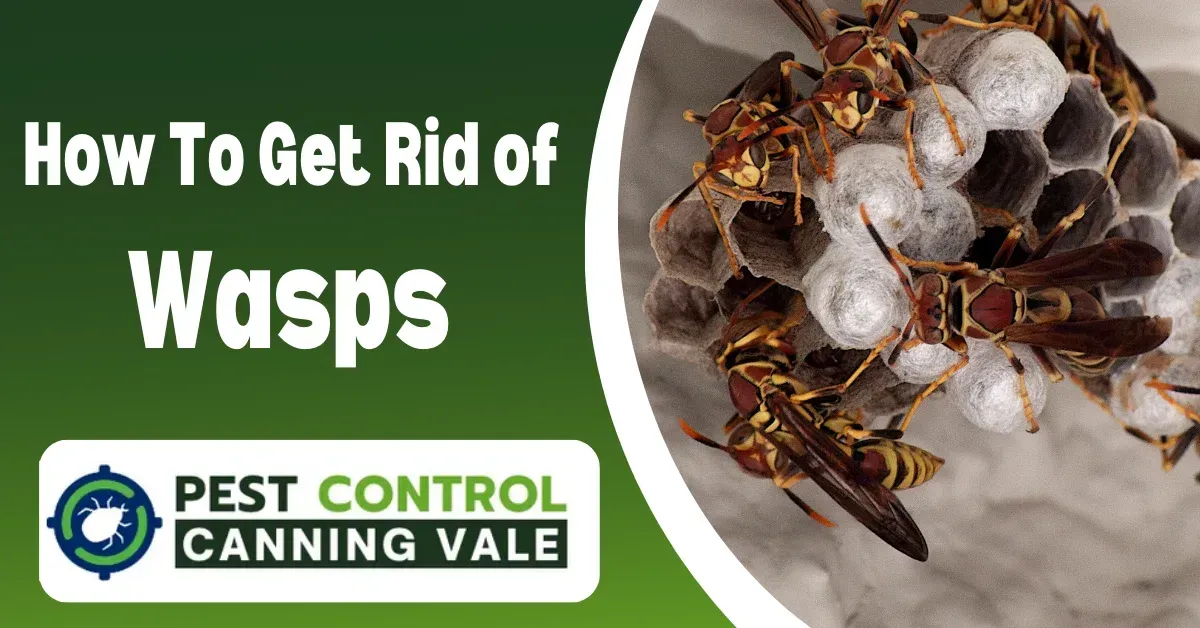 canning vale pest control