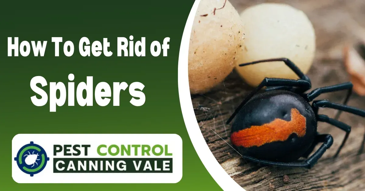 canning vale pest control