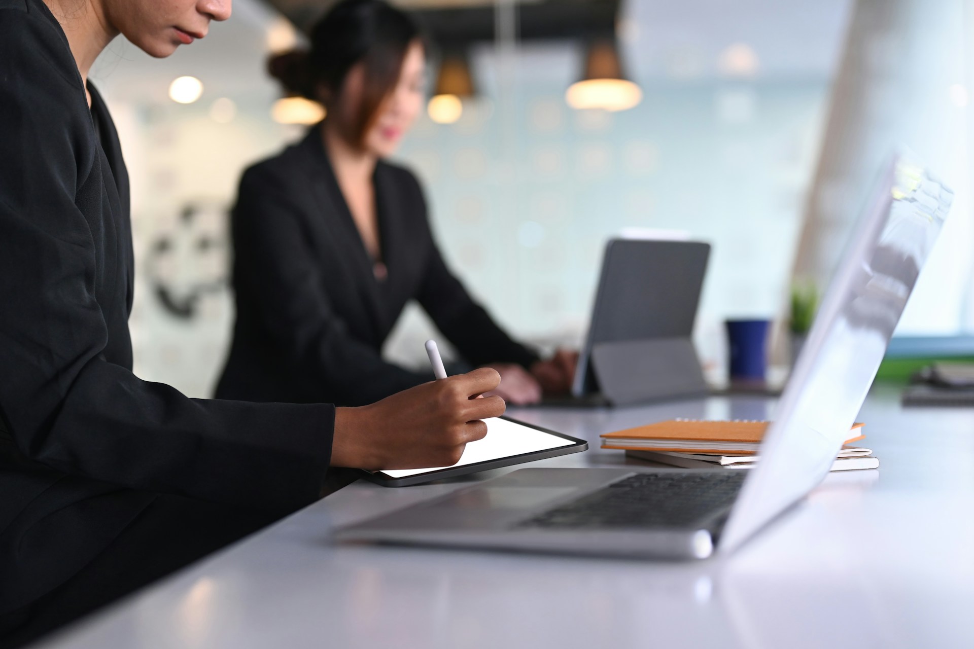 Professional Website