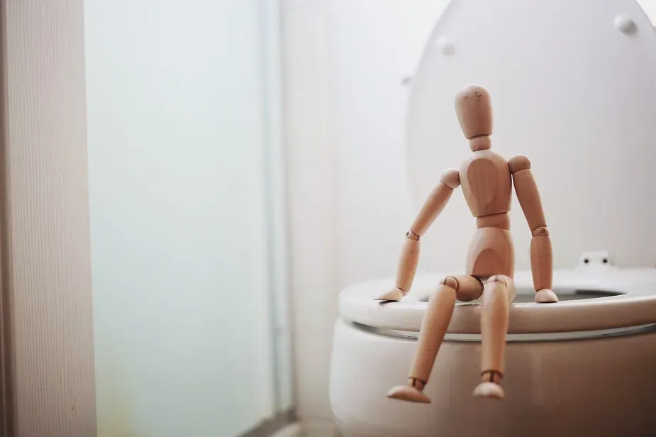 wooden doll sitting on front edge of toilet seat