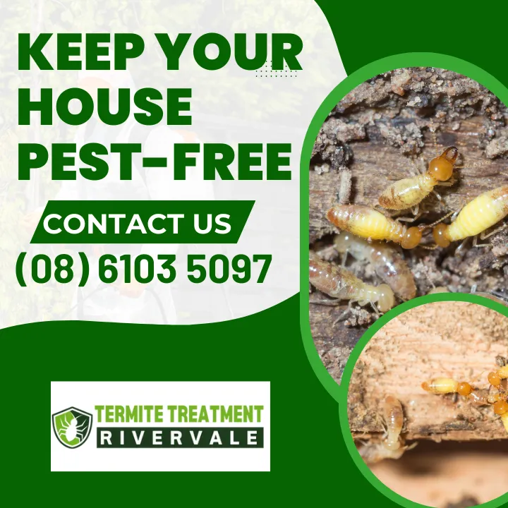 rivervale-garage-pest-cleaning