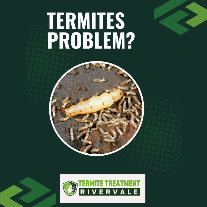what-do-termites-eat-guide-to-their-preferred-diet