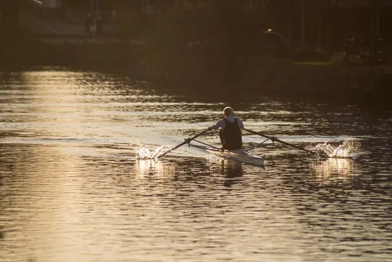 Back pain in male rowers