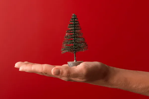 Que la Navidad no pase a segundo plano