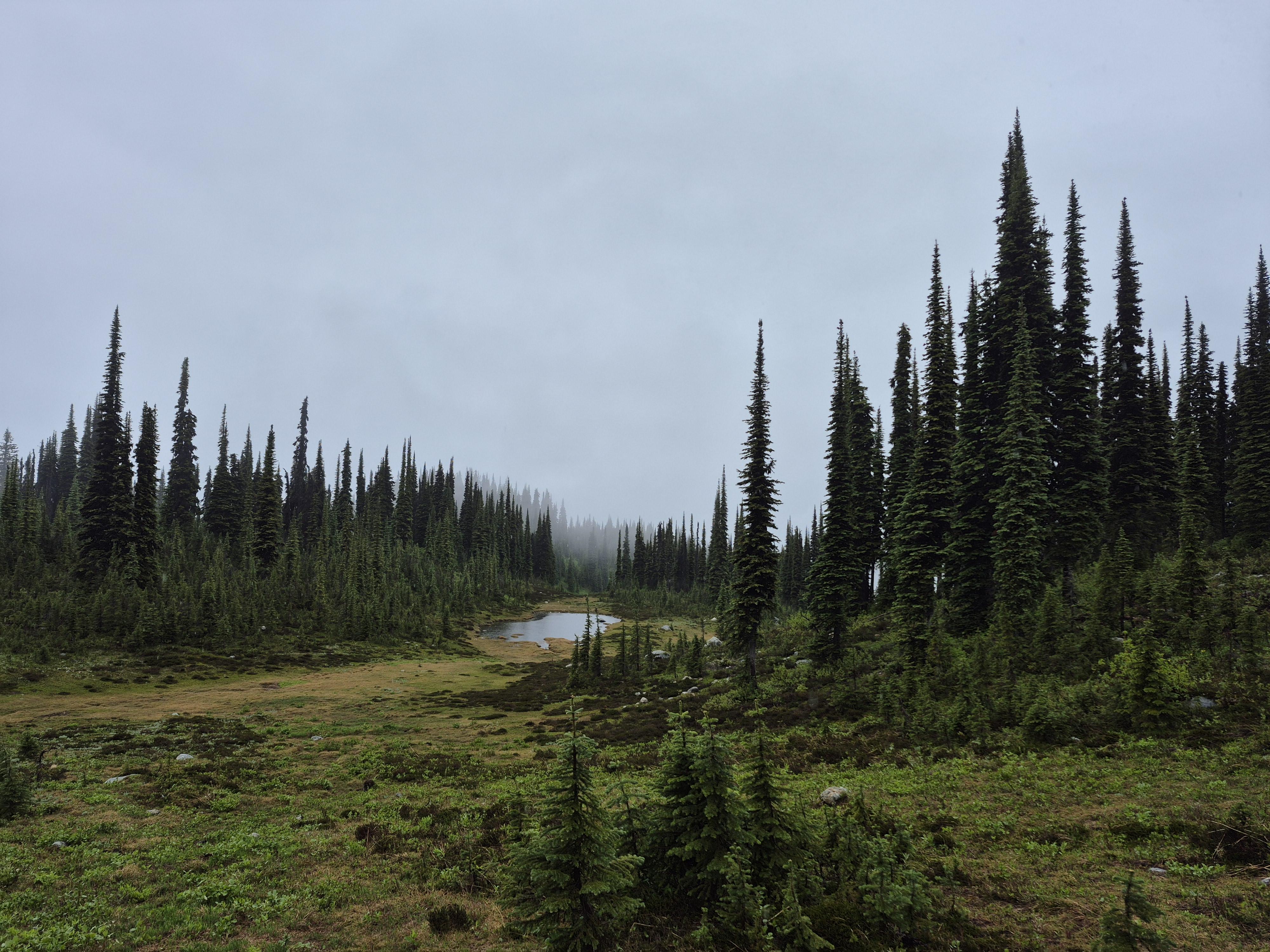 It’s Okay to Slow Down