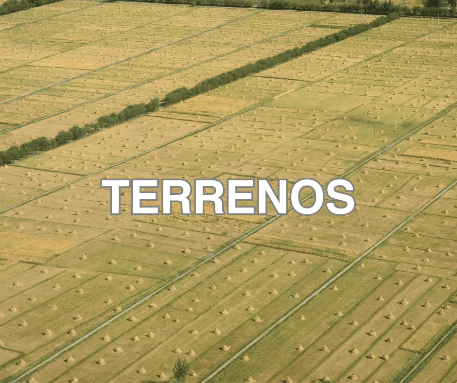 Terreno Viseu Tondela Campo de Besteiros (Cimo do lugar - Escravada) - 63040