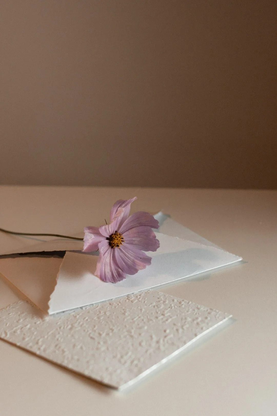 Letters I Never Sent (But Really, Really Wanted To) Part 1