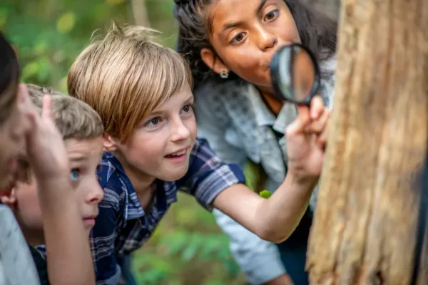 You Don't Need a Curriculum - You Need Curiosity