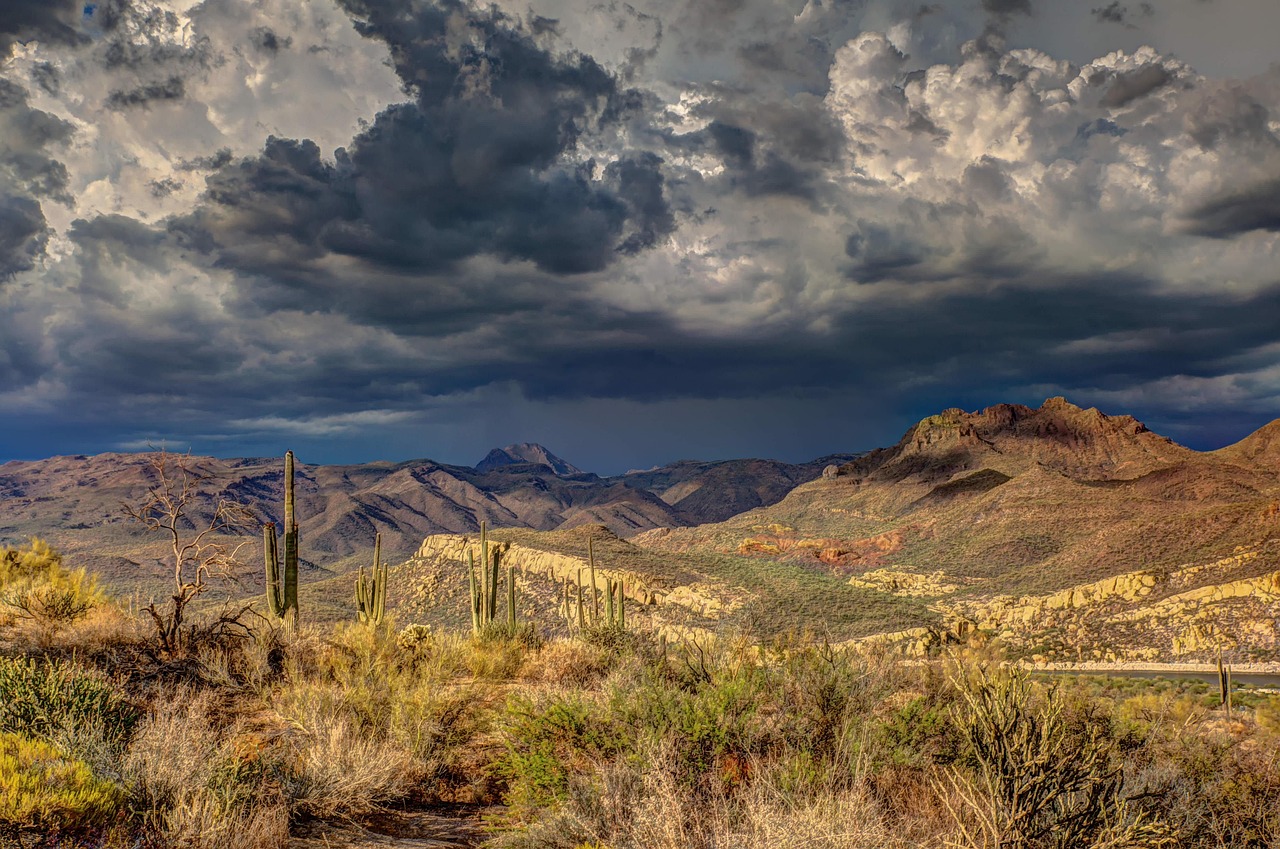 Monsoon Season & Joint Pain: Can Chiropractic Adjustments Help During Weather Changes?