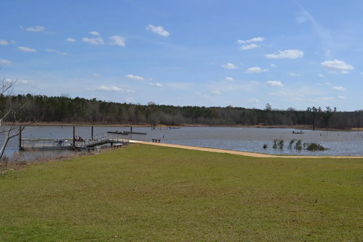 Cast a Line & Chill Out: Why Flat Creek Public Fishing Area Is Perry’s Hidden Gem for Outdoor Bliss