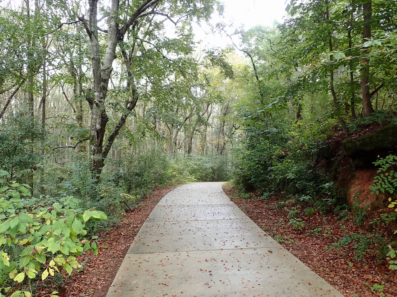 White Tail Creek – Perry’s Hidden Gem for Chill Days & Cabin Stays