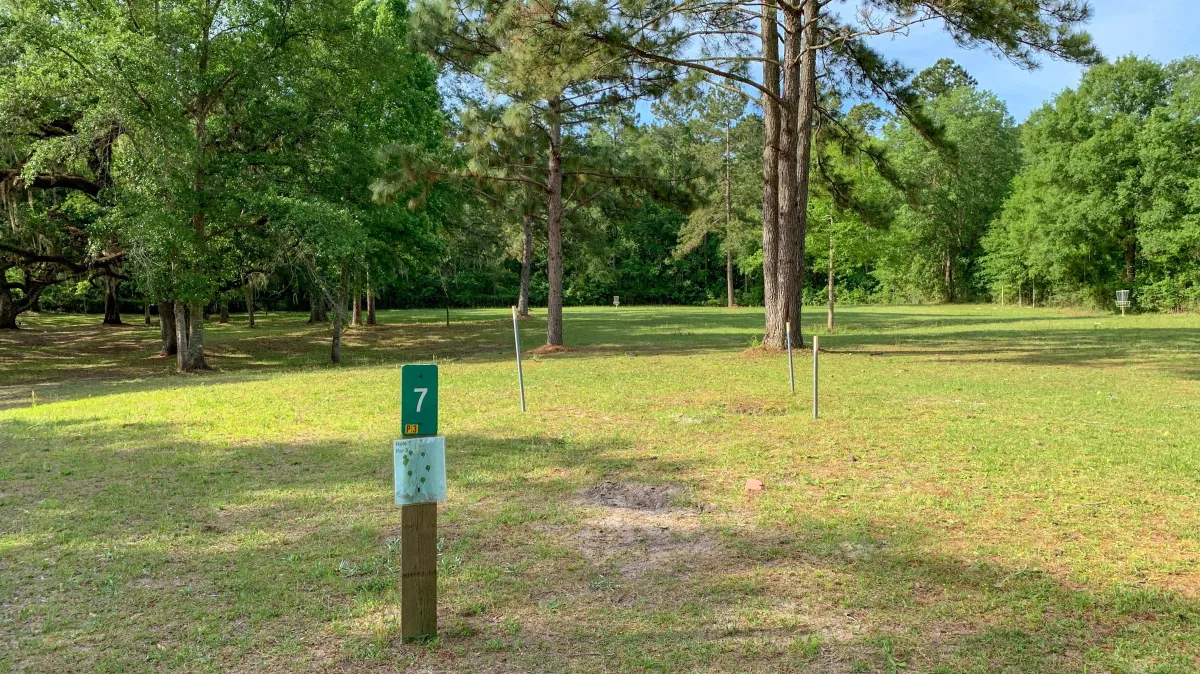 “Tee Off with Trees & Good Vibes: A Day at Creekwood Disc Golf Course in Perry, GA” — Perry