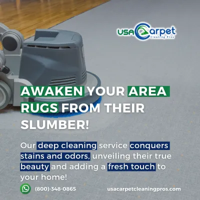 USA Carpet Cleaning Pros