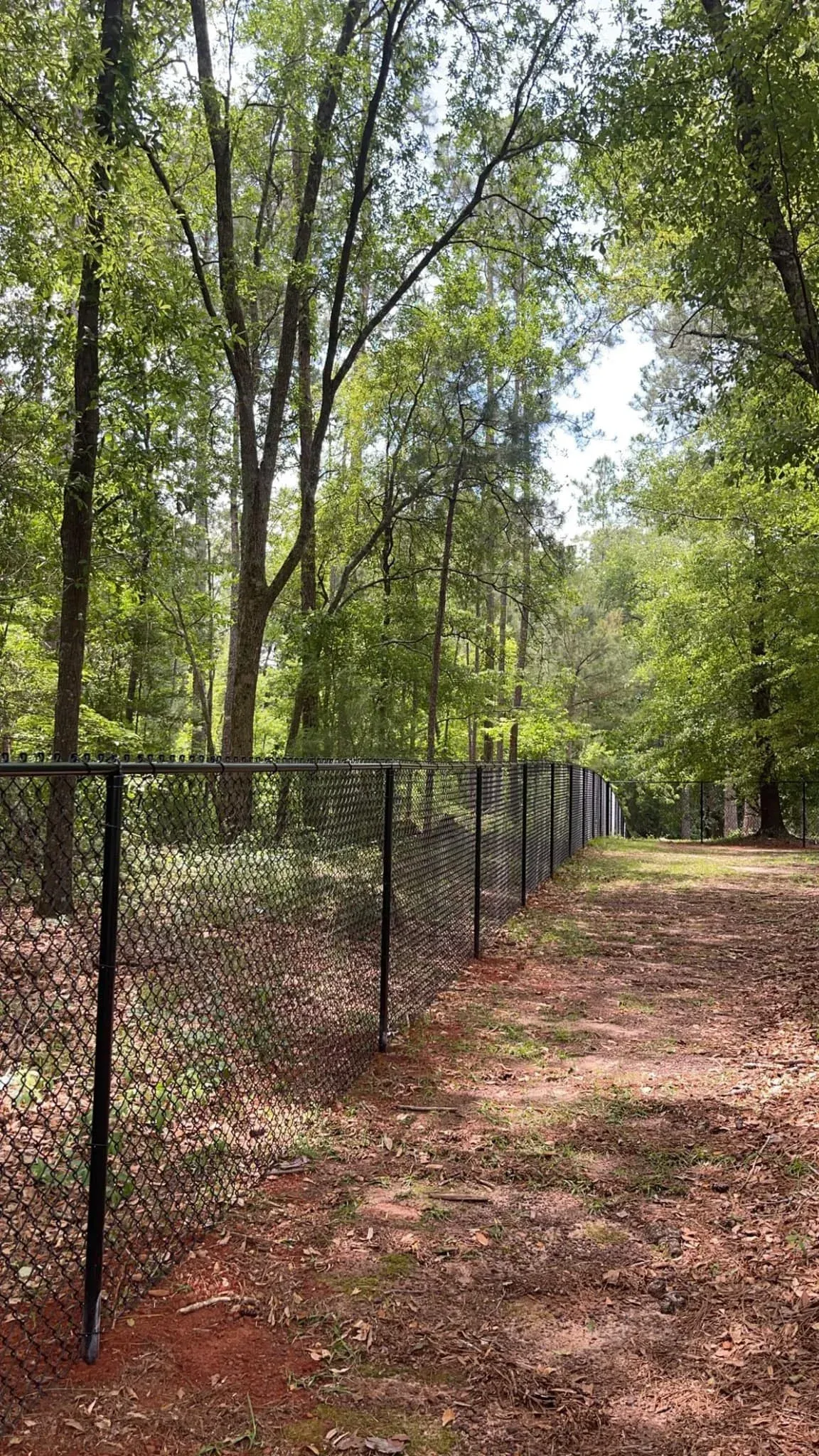 Long stretch of black vinyl-coated chain link fence defining a property line in a wooded area of Georgia, installed by MCM Fence LLC.