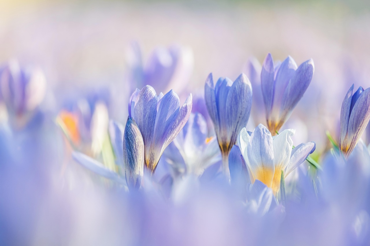7 Surprising Ways to Boost Your Spring Energy