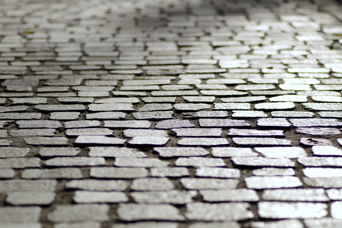 Pavement Maintenance 101: Essential Tips for Long-Lasting Surfaces