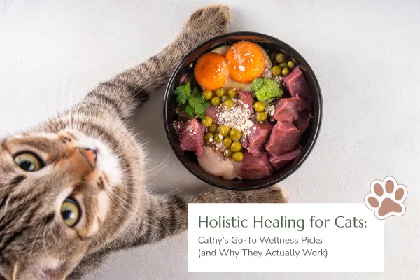Holistic Healing for Cats: Cathy’s Go-To Wellness Picks (and Why They Actually Work)