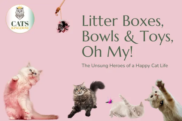 Litter Boxes, Bowls & Toys, Oh My! The Unsung Heroes of a Happy Cat Life