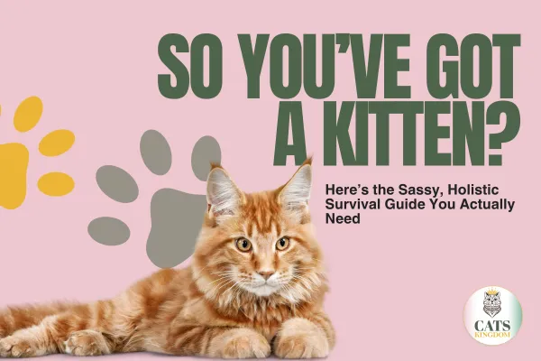 So You’ve Got a Kitten? Here’s the Sassy, Holistic Survival Guide You Actually Need