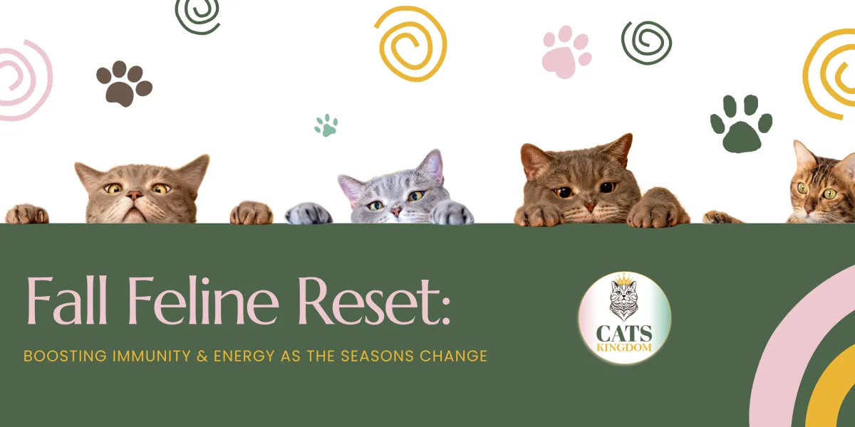 Fall Feline Reset: Boosting Immunity & Energy as the Seasons Change