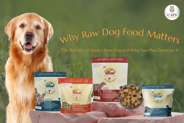 Why Raw Dog Food Matters: The Benefits of Steve’s Raw Dog and Why Your Pup Deserves It