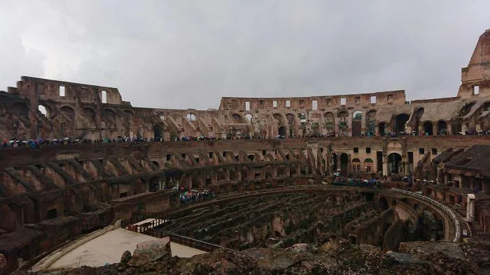 Into The Arena