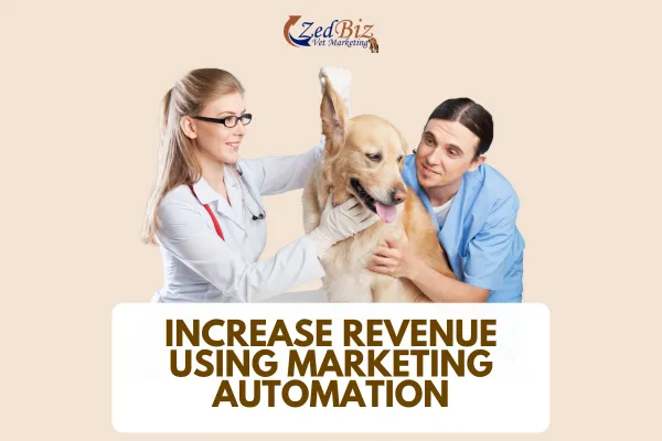 marketing automation, client happiness