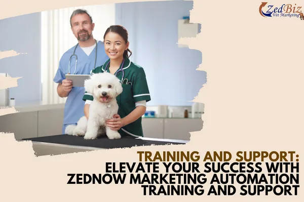 marketing automation