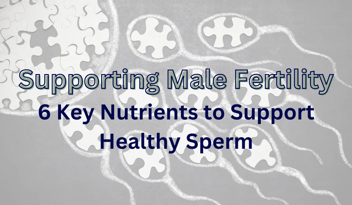 Male fertility