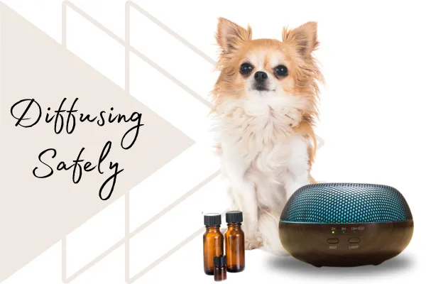  A Detailed Guide to Safely Diffusing Essential Oils Around Your Dogs and Cats