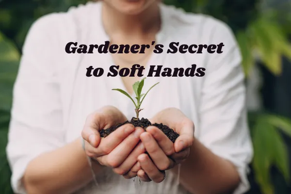 How to Keep Your Hands Soft and Smooth All Season Long