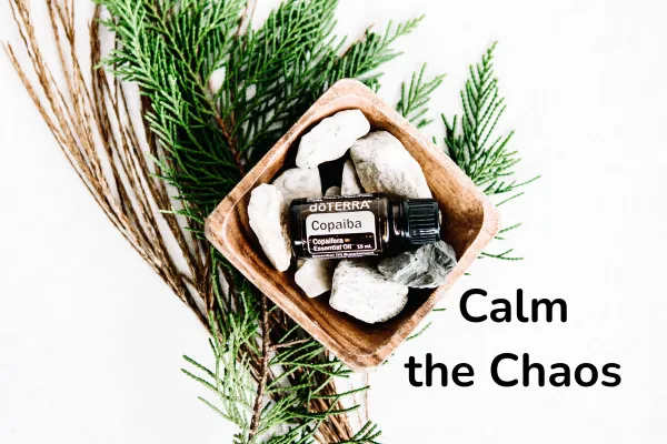 Calm the Chaos