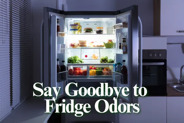 Say Goodbye to Fridge Odors