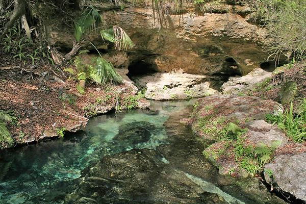 Kelly Park / Rock Springs, Apopka, FL