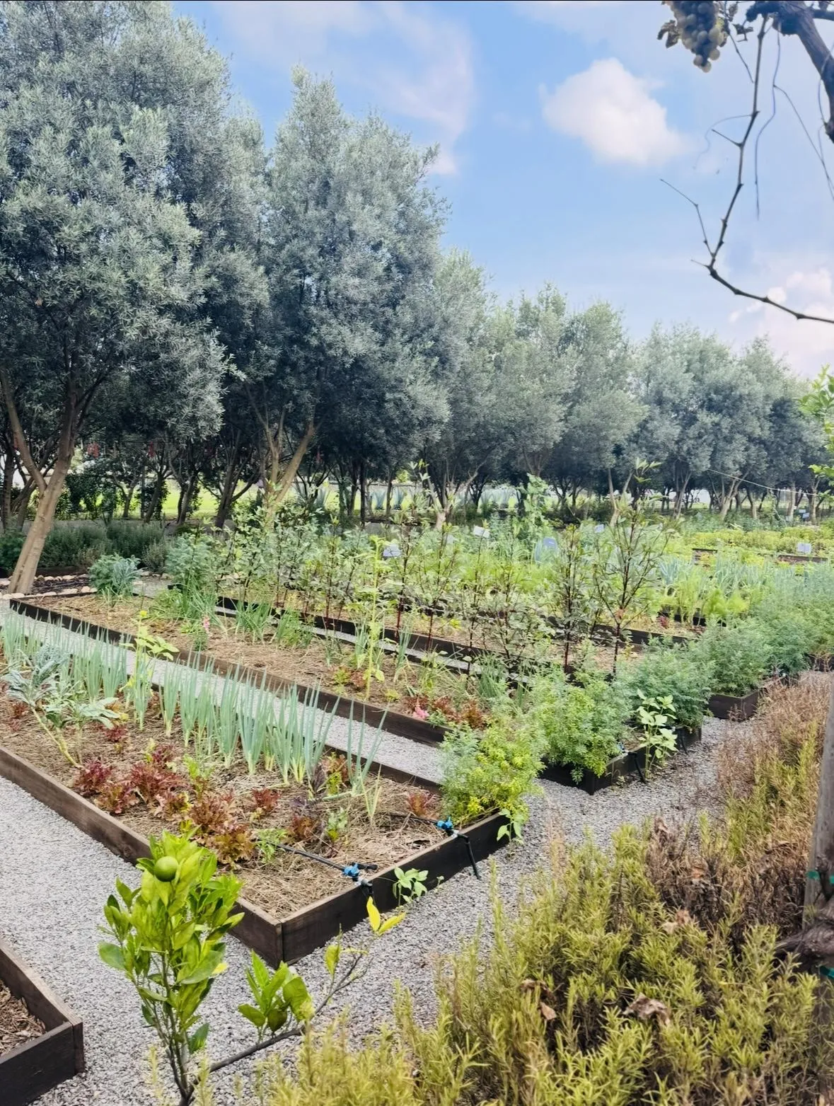 Una muestra de compromiso ambiental